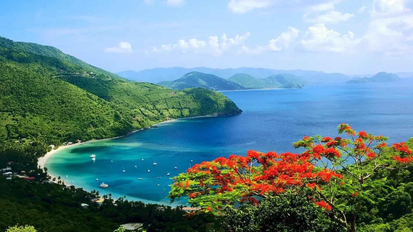 高端高效独特